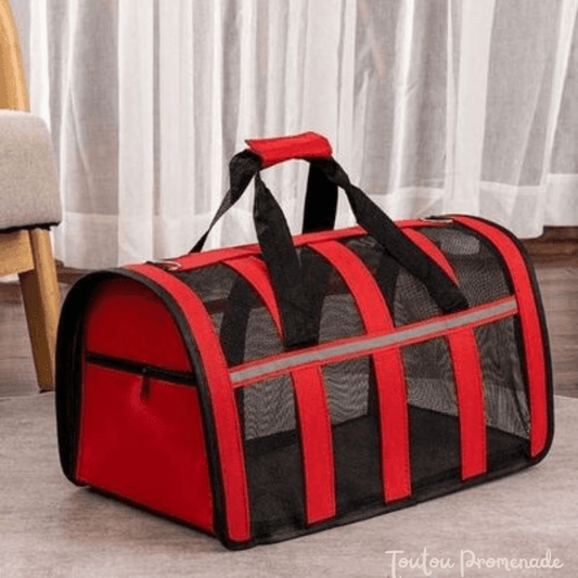 Sac de transport pour chien bleu transparent