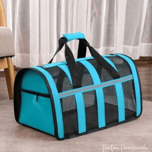 etit chien confortablement installé dans le sac de transport MeshPetCarrier bleu