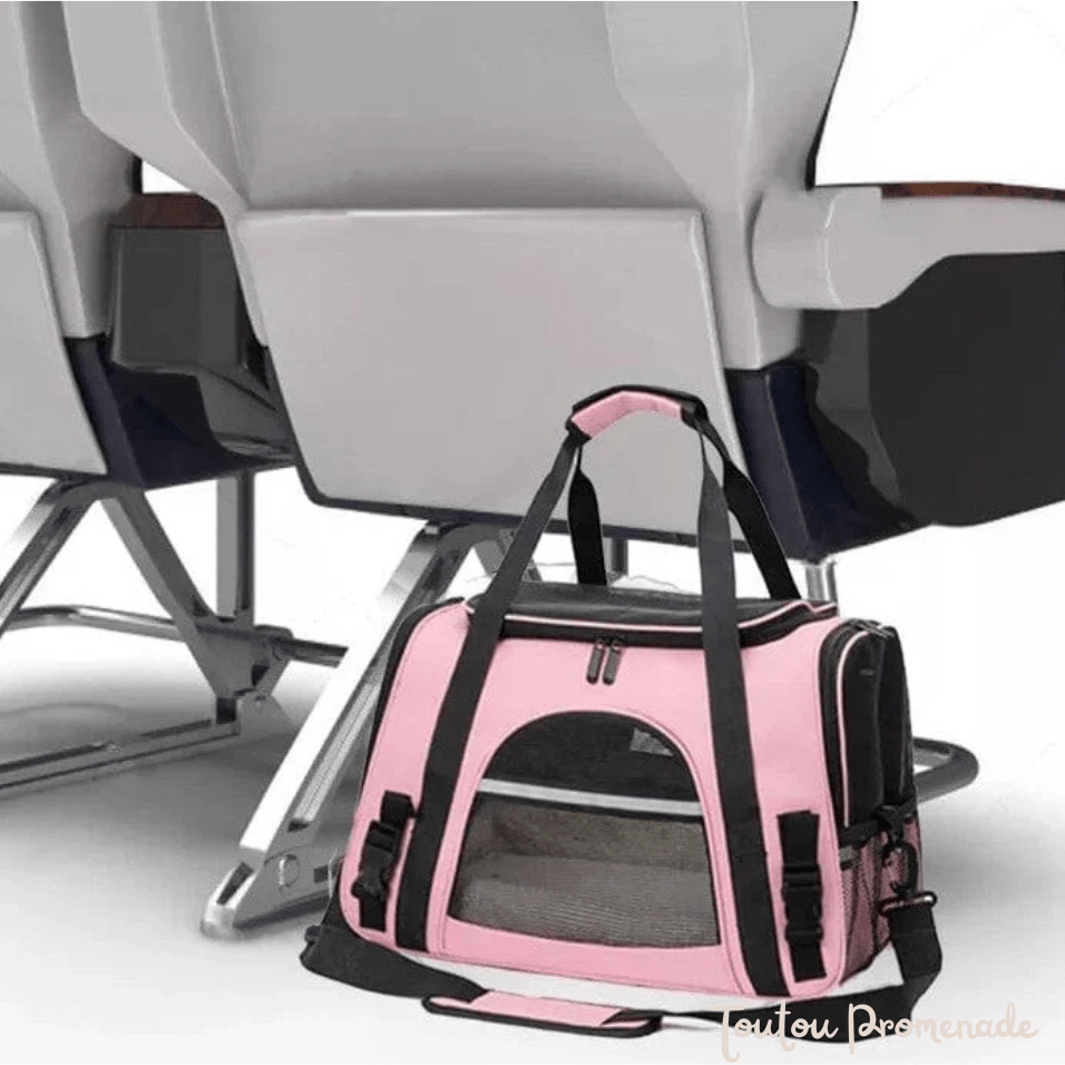 Petit chien confortablement installé dans le sac DogCarrierBag rose avec ventilation mesh