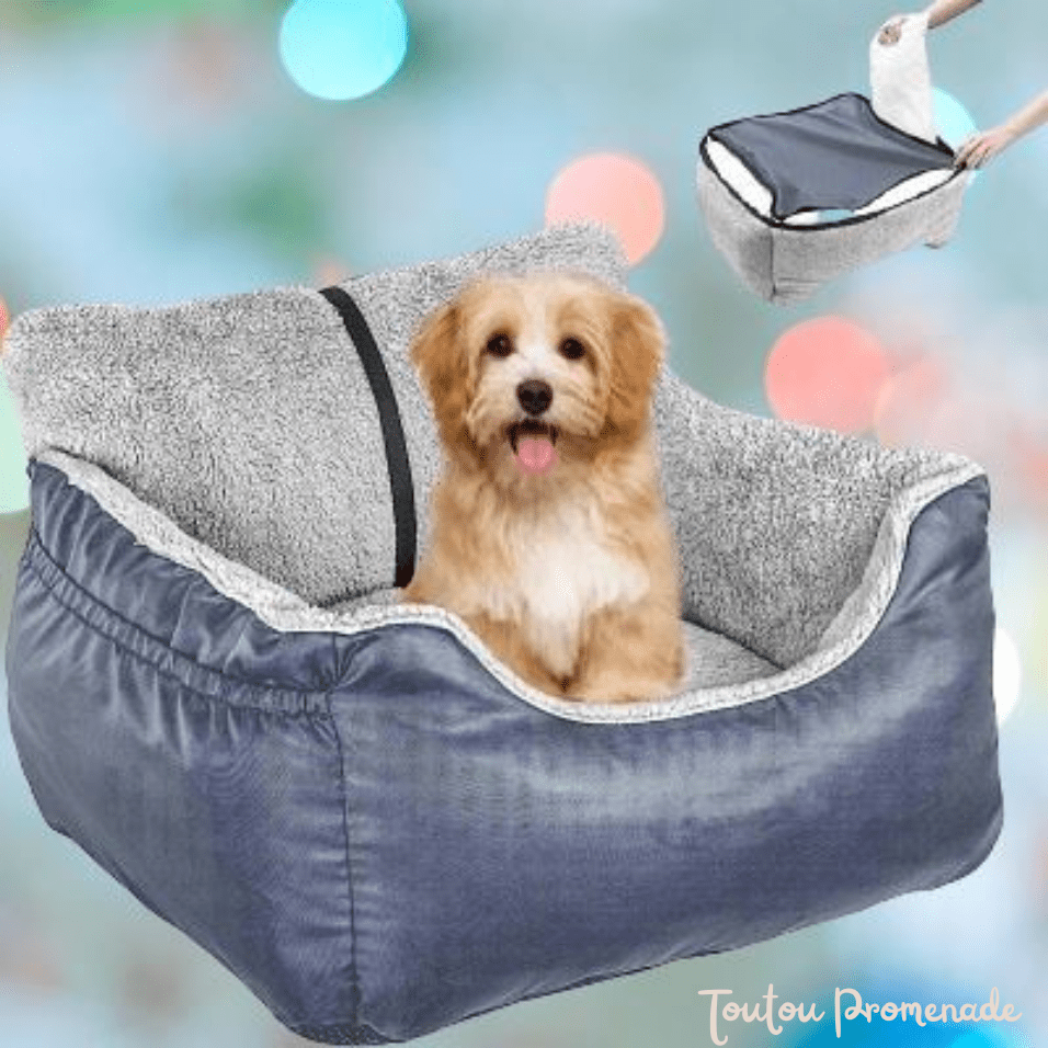 Siege auto pour chien