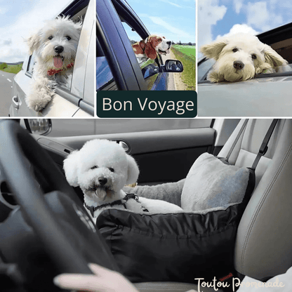 Siege auto pour petit chien