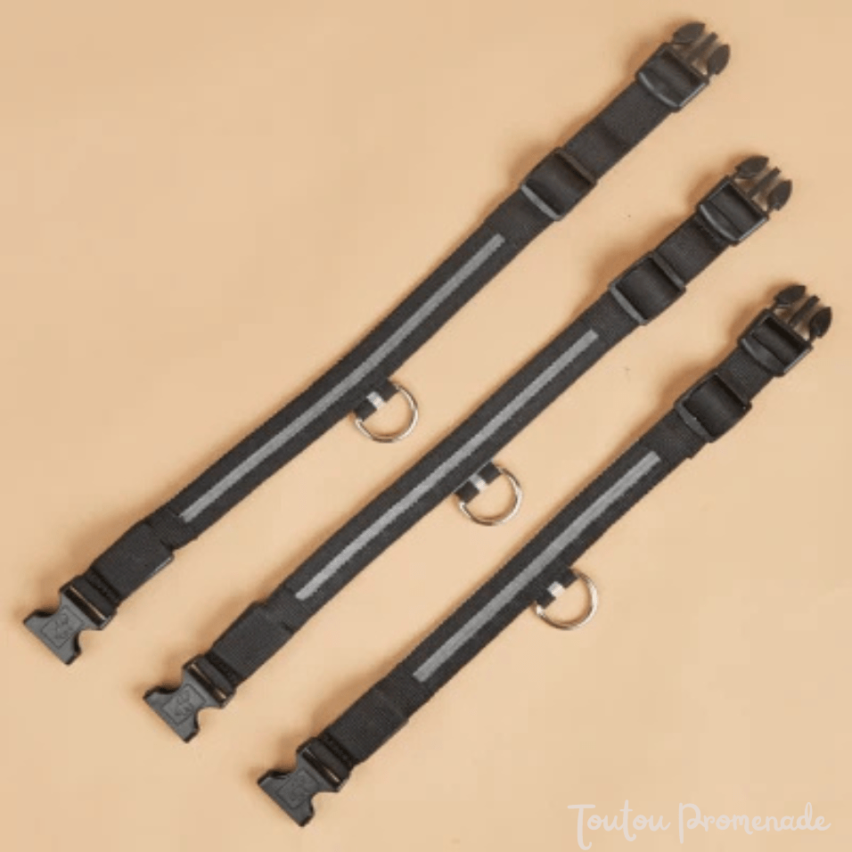 Collier LED LEDCollarDog vert ajustable avec boucle de sécurité robuste