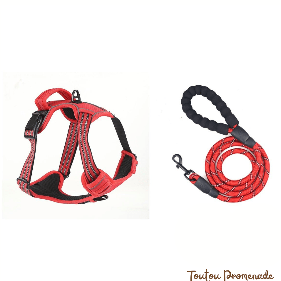 Harnais Chien Respirant & Anti-Traction | AirGuard