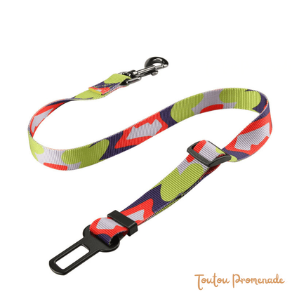 Ceinture de Sécurité Voiture pour Chien | SafeBelt