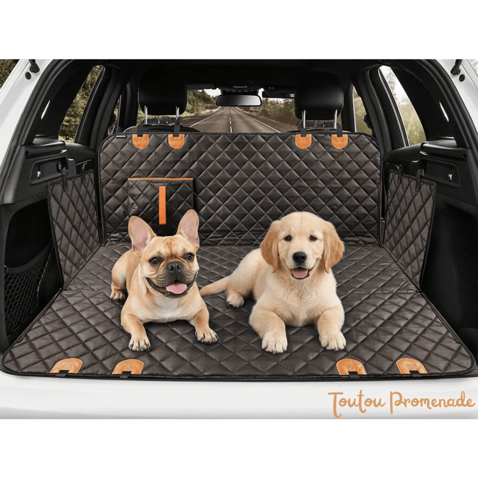 Couverture Siège Auto pour Chien | PawShield