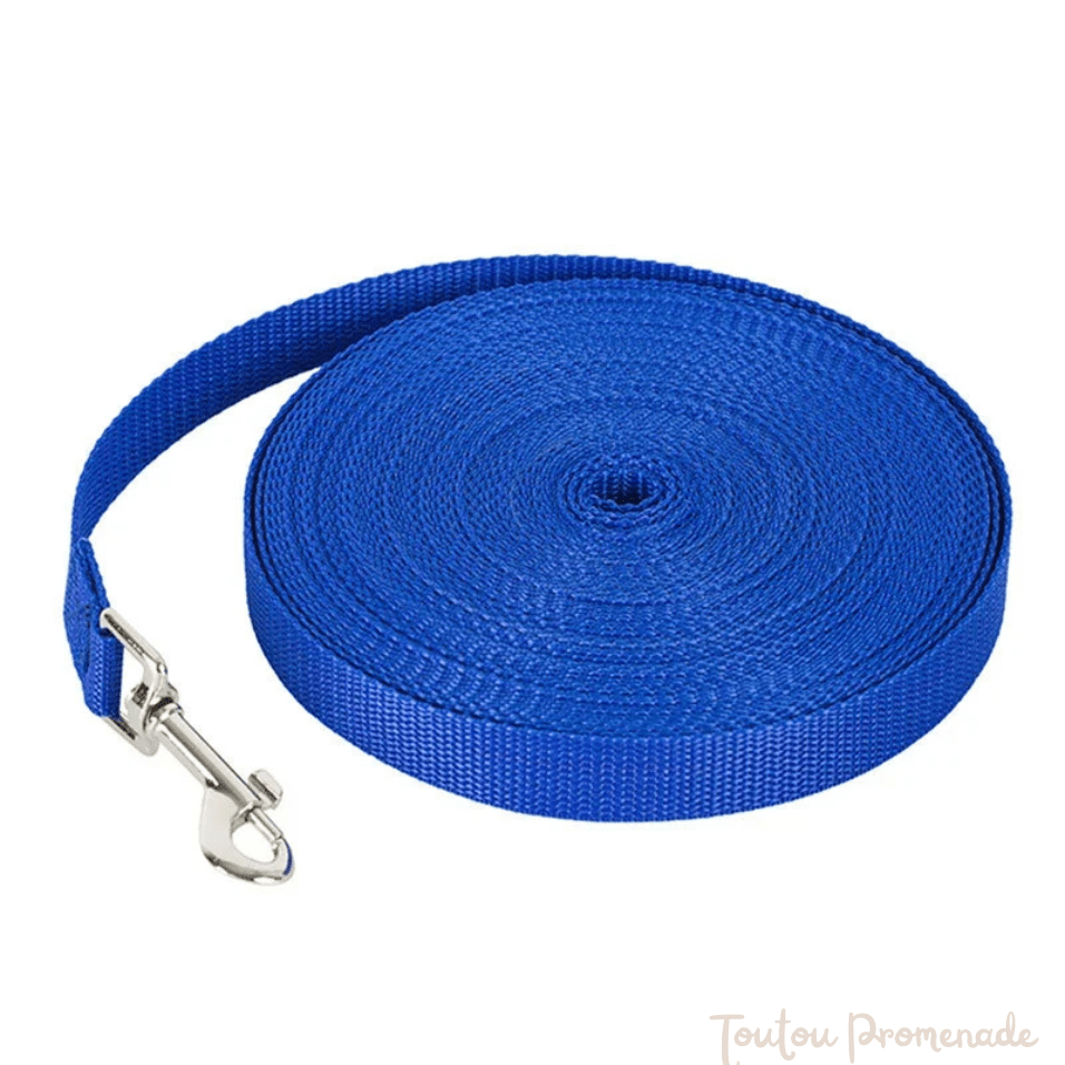 Laisse de chien | Pro Nylon