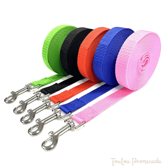 Laisse de chien | Pro Nylon