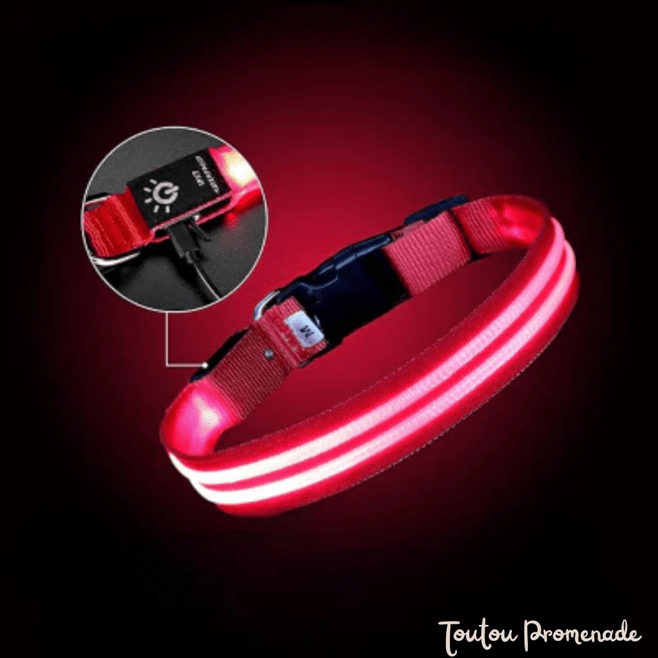 Détail du port de recharge USB et modes d'éclairage du collier LED rose