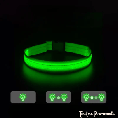 Détail du port de recharge USB et modes d'éclairage du collier LED vert