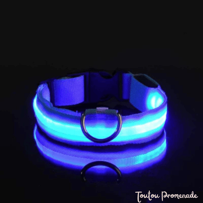 Détail du port de recharge USB et modes d'éclairage du collier LED bleu