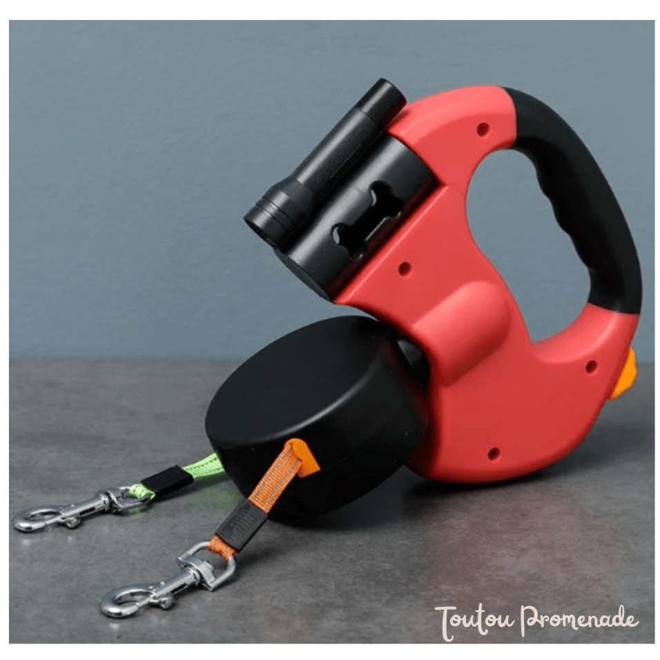 laisse double pour chien avec rouge