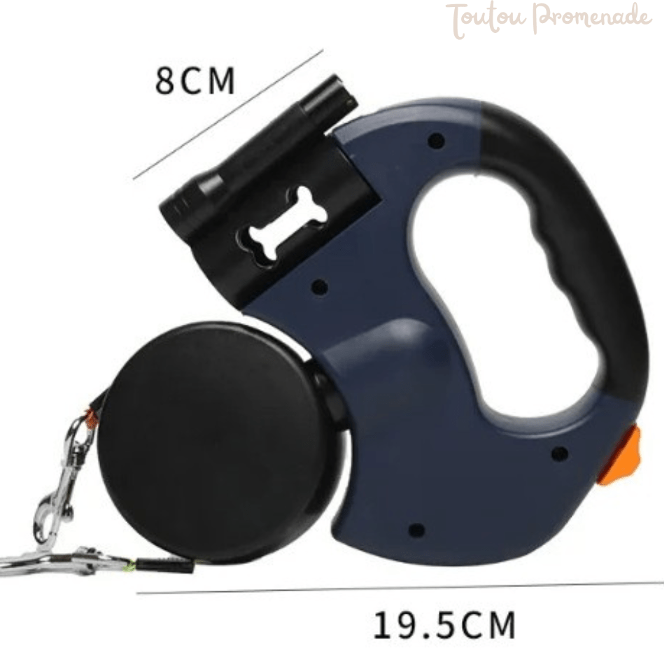 laisse double pour chien noir