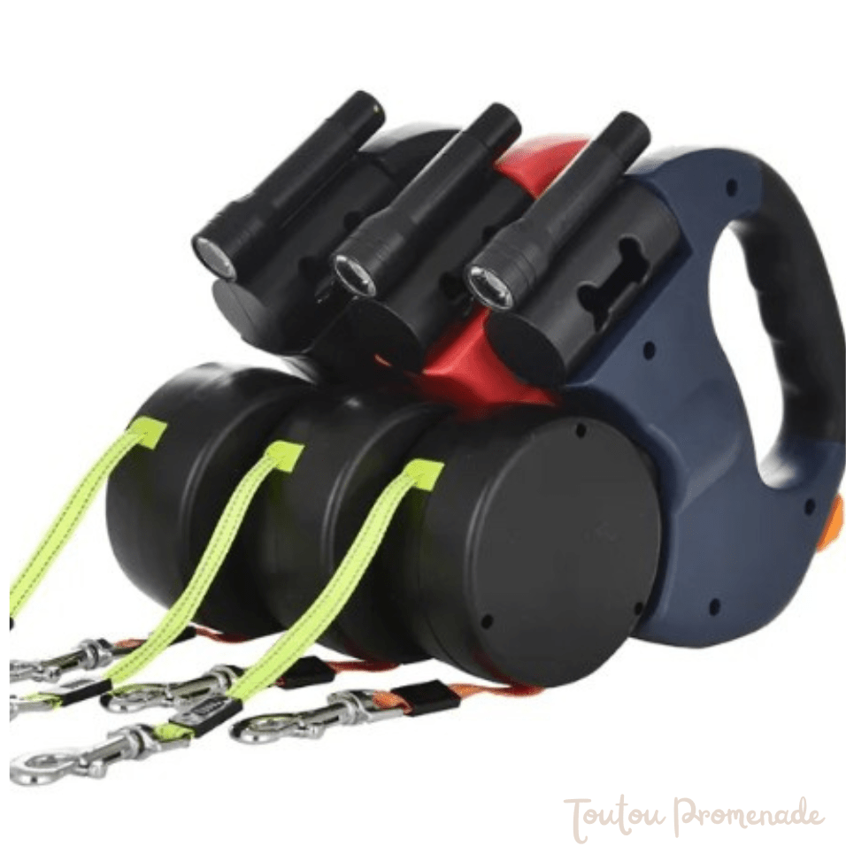 laisse double pour chien