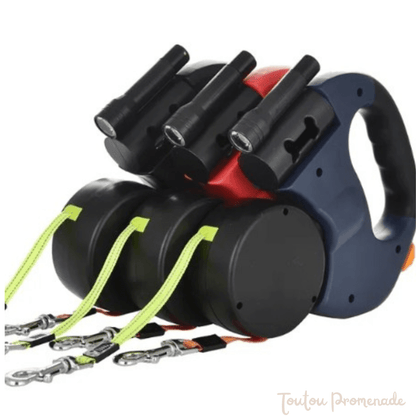 laisse double pour chien