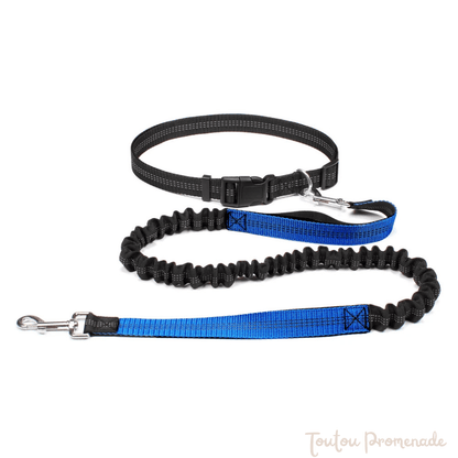 laisse main libre bleu