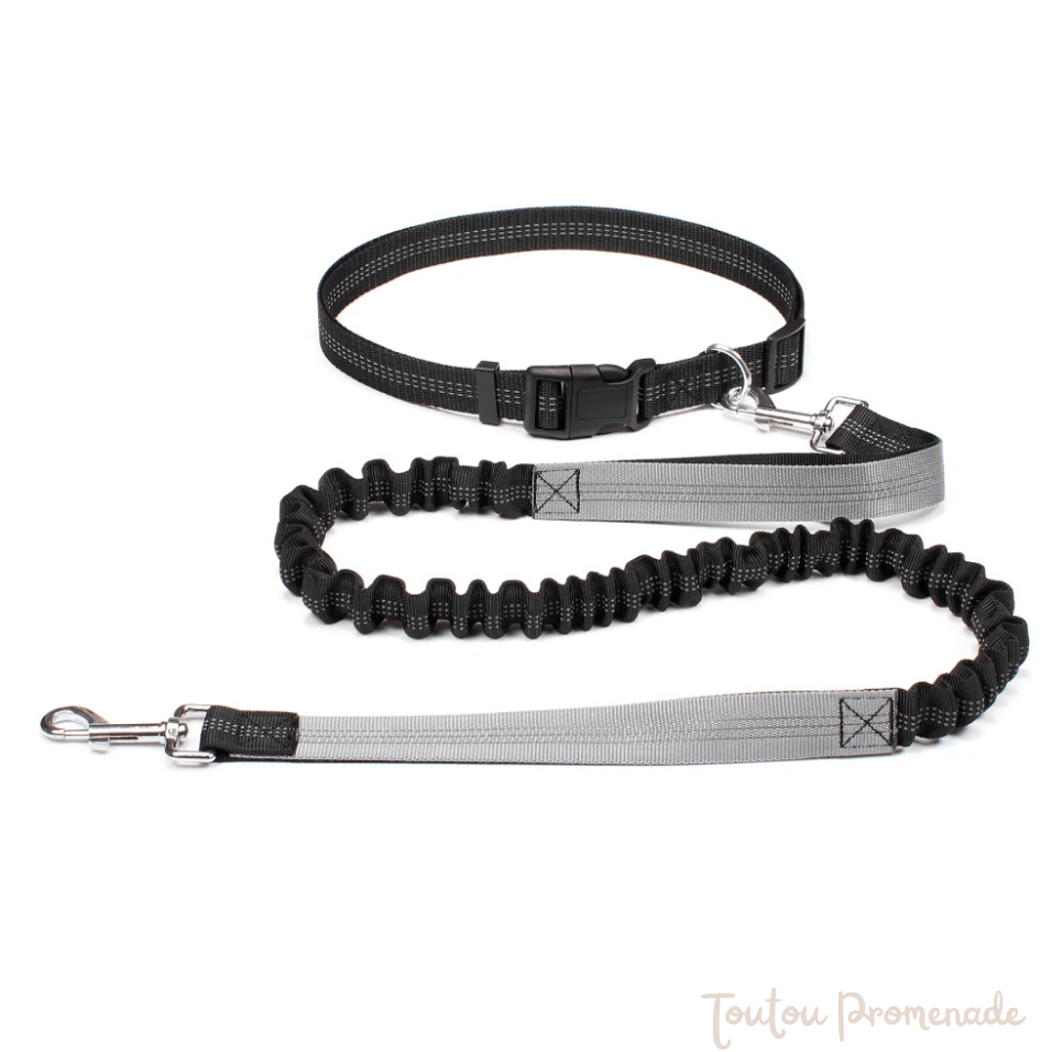 laisse main libre gris