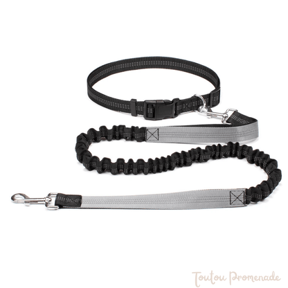 laisse main libre gris