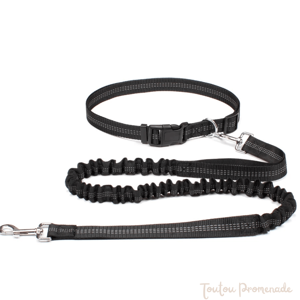 laisse main libre noir