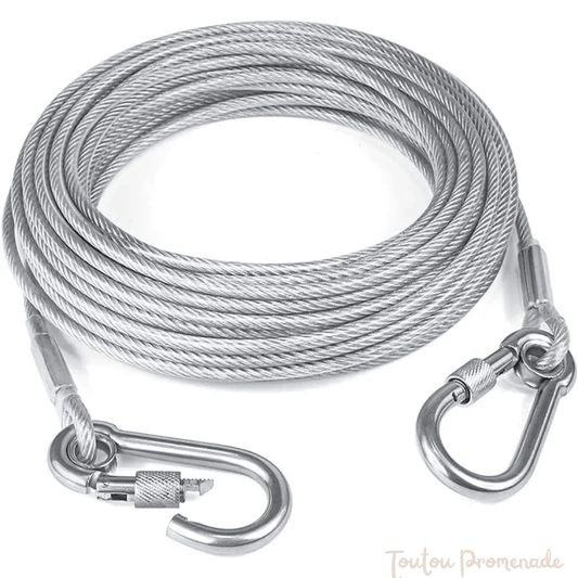 Laisse pour chien |Titan Inox