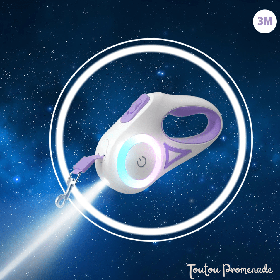 laisse pour chien avec led mauve