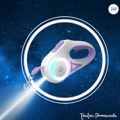laisse pour chien avec led mauve