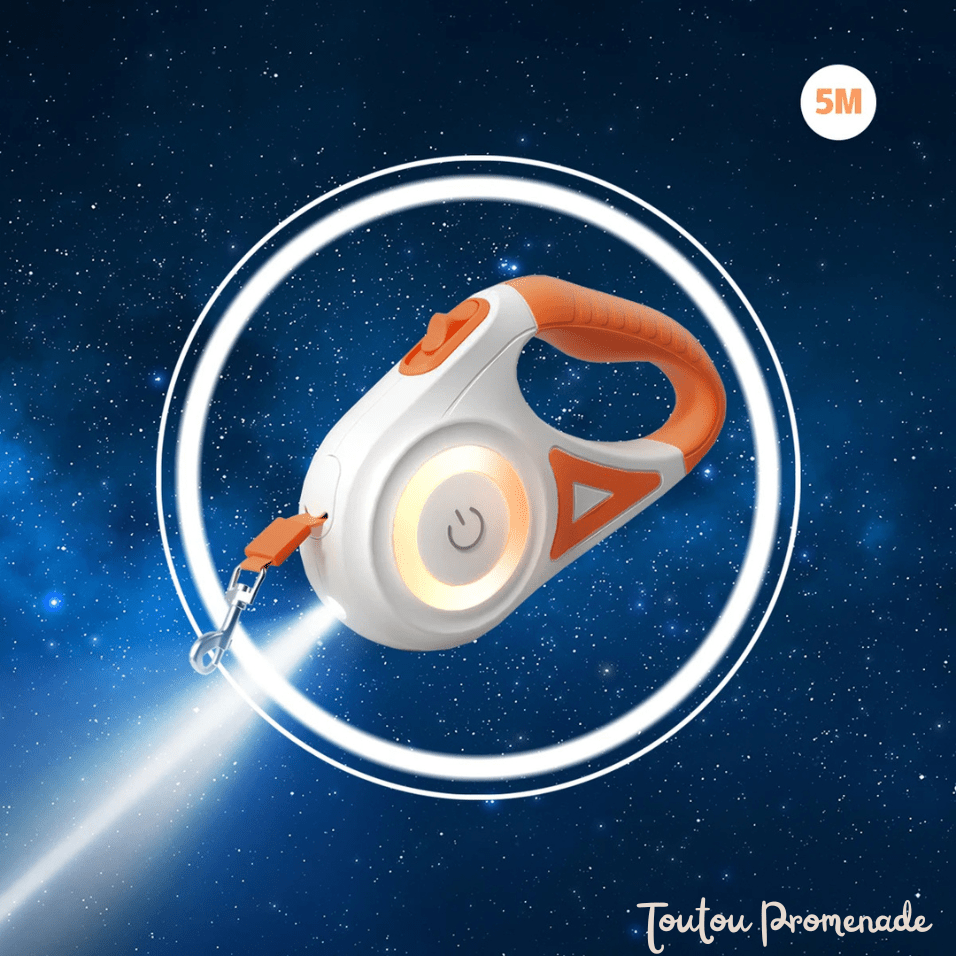 laisse pour chien avec led orange