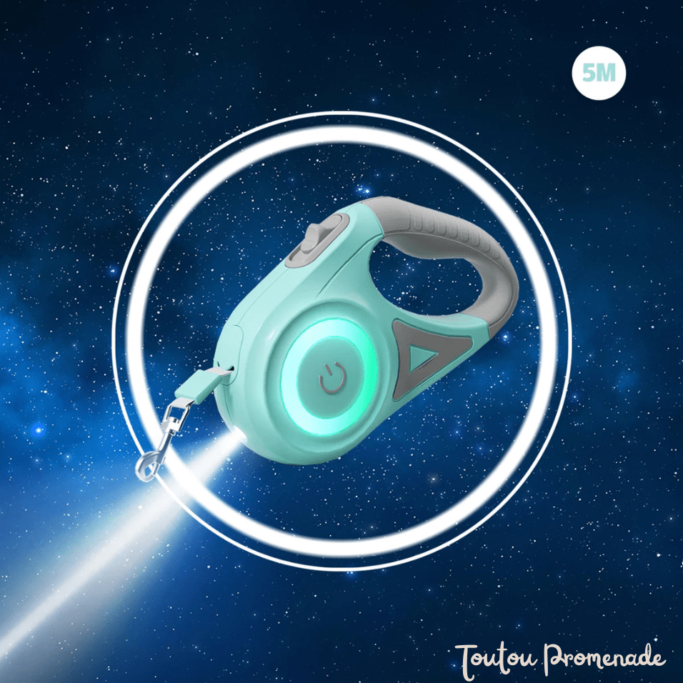 laisse pour chien avec led vert