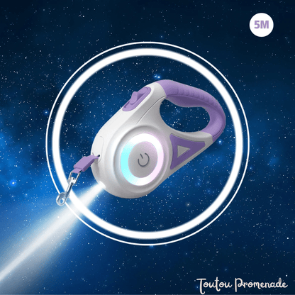 laisse pour chien avec led violet