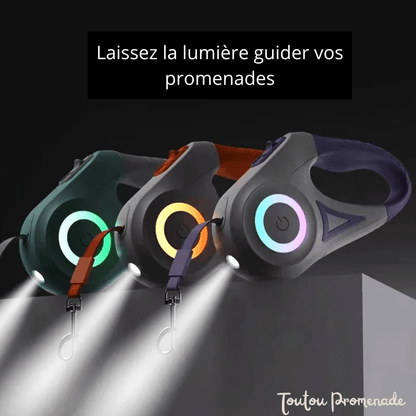 laisse pour chien lumiere led lampe torche