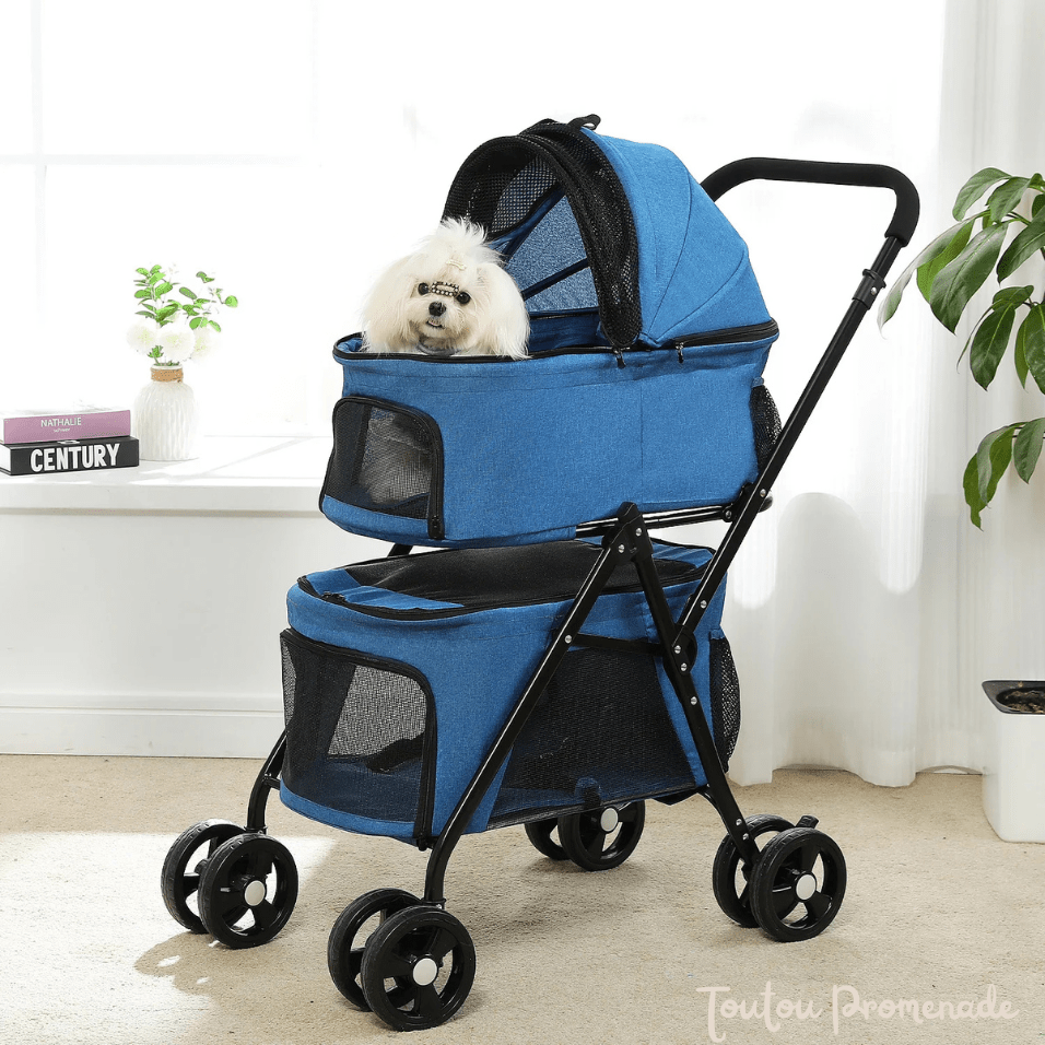 Petit chien confortablement installé dans la poussette PetStroller bleu 
