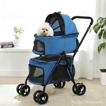 Petit chien confortablement installé dans la poussette PetStroller bleu 