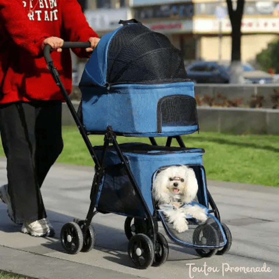 Petit chien confortablement installé dans la poussette PetStroller bleu avec capote protectrice