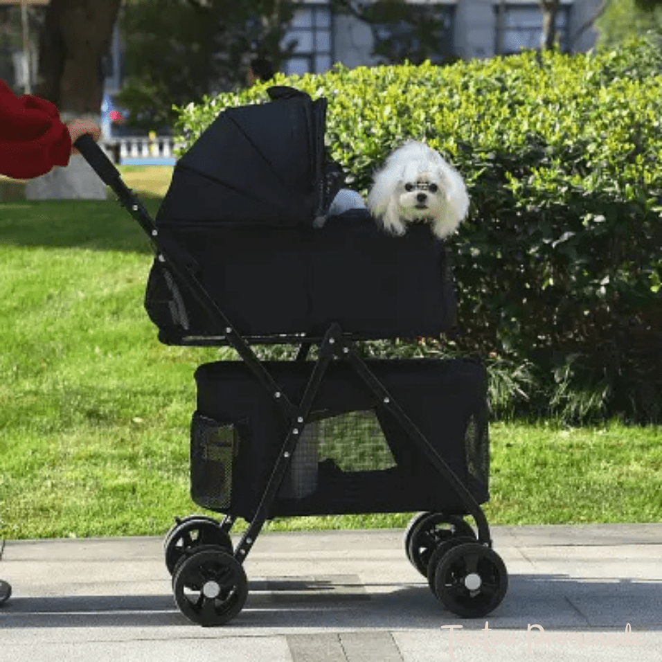 "Petit chien confortablement installé dans la poussette PetStroller noir