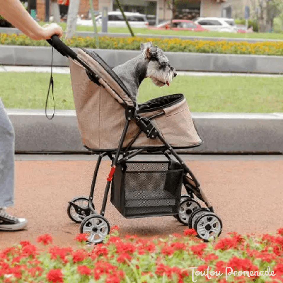 Petit chien confortablement installé dans la poussette PetStroller beige