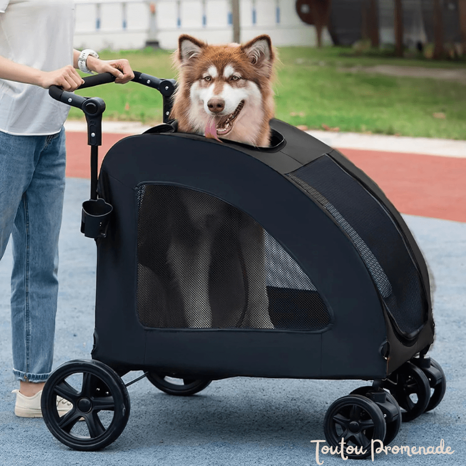 Poussette pour Chien - StrollyPet™ - Noir