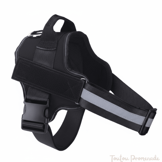 Harnais Chien Réfléchissant & Réglable | SafeWalk Pro